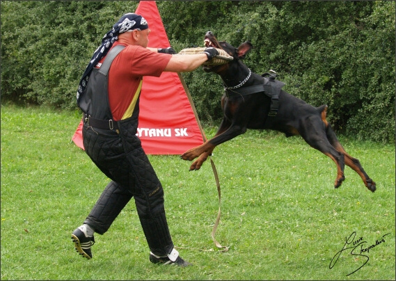 Summer training camp - Jelenec - 2007